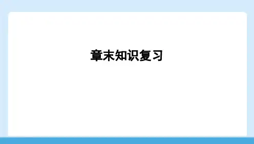 第四章+光现象+章末知识复习++++课件-+2024-2025学年物理人教版八年级上册