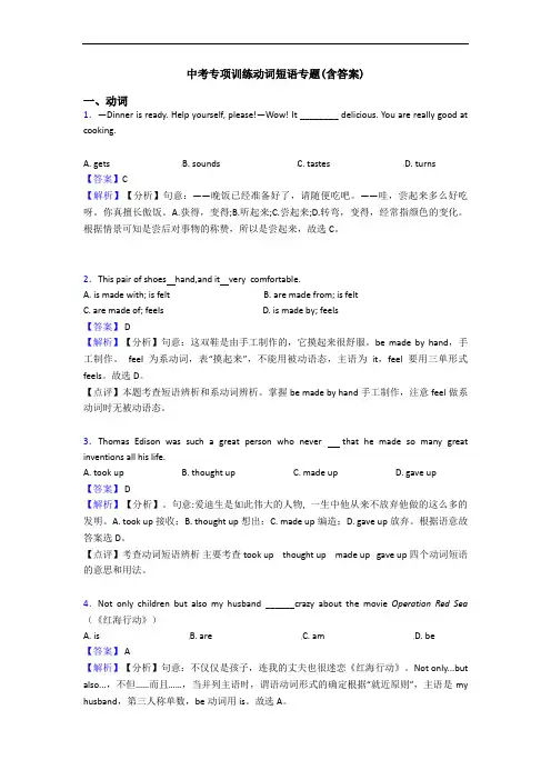 中考专项训练动词短语专题(含答案)