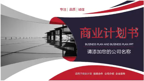 相亲网站商业计划书PPT模板