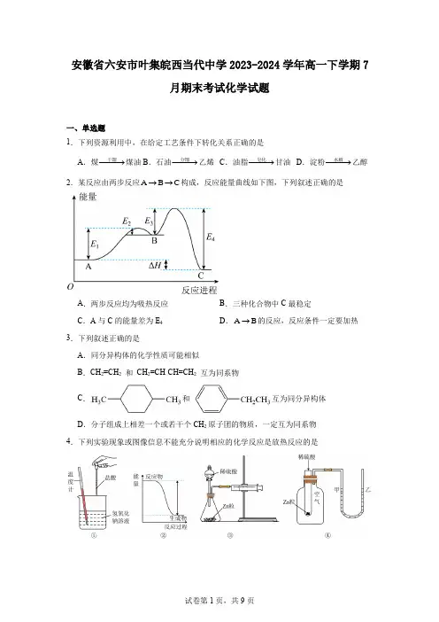 安徽省六安市叶集皖西当代中学2023-2024学年高一下学期7月期末考试化学试题