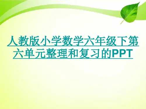 人教版小学数学六年级下册第六单元整理和复习综合与实践.ppt