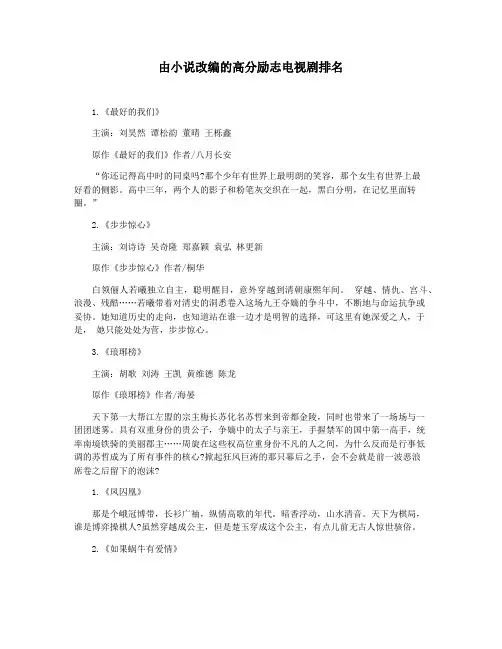 由小说改编的高分励志电视剧排名