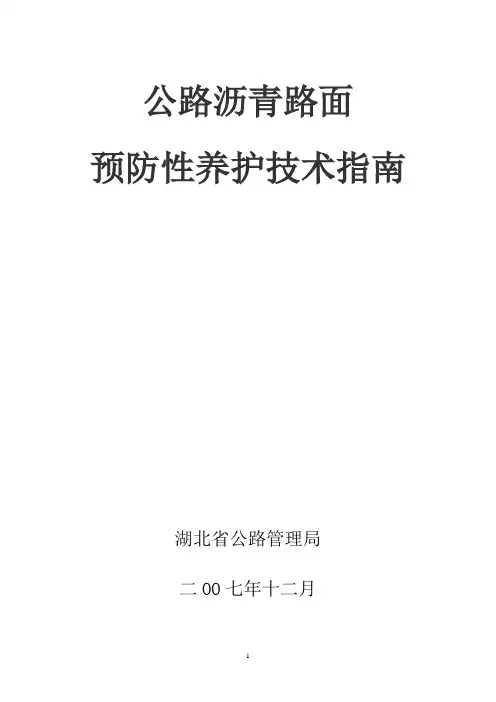 D路面预防性养护技术指南(元月16日)