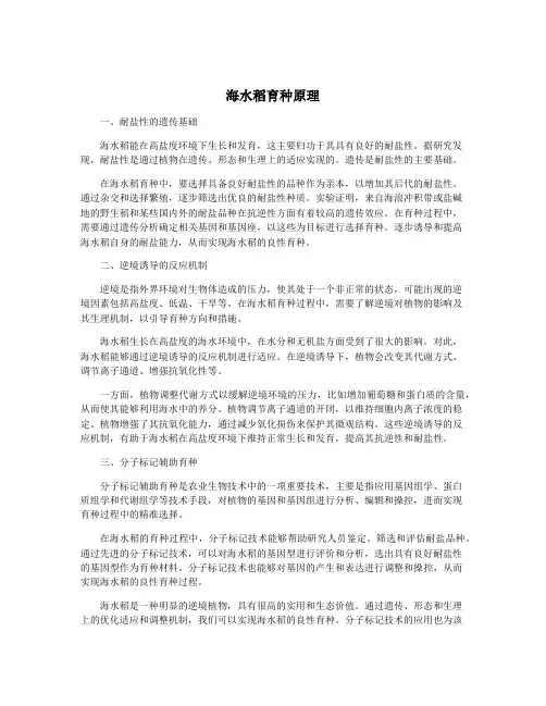 海水稻育种原理