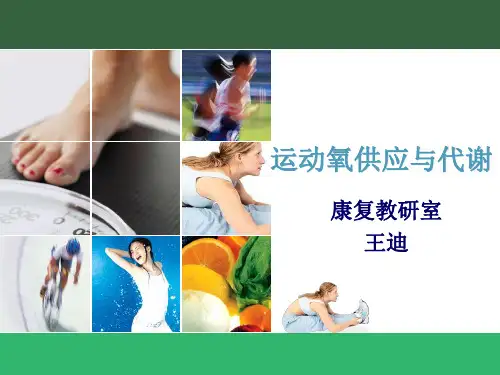 第三章 运动氧供应与代谢