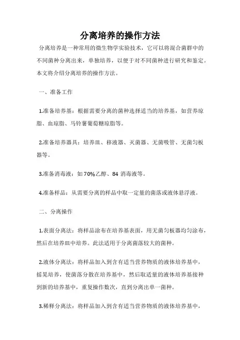 分离培养的操作方法