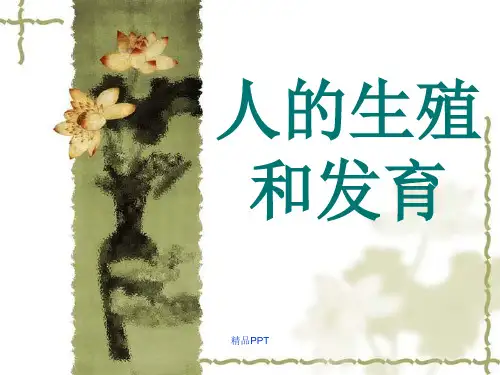 人教版初中生物八年级下册第七单元 生物圈中生命的延续和发展第一章 生物的生殖和发育课件(2)