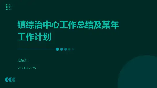 镇综治中心工作总结及某年工作计划