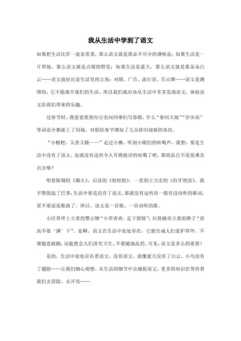我从生活中学到了语文_初中初一作文500字