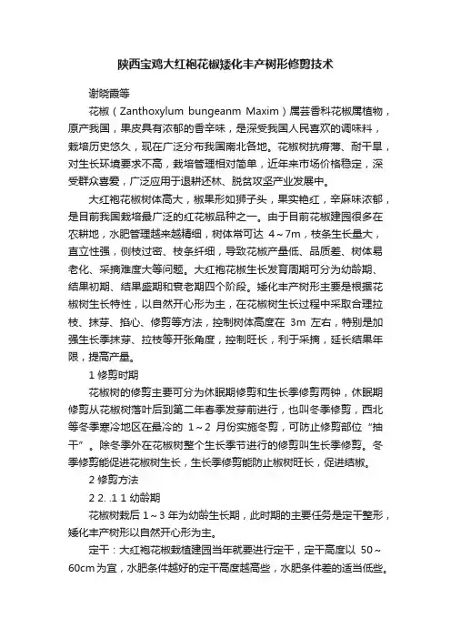 陕西宝鸡大红袍花椒矮化丰产树形修剪技术
