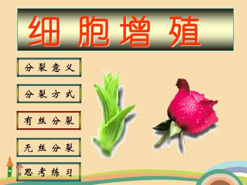 高一生物细胞分裂PPT优秀课件