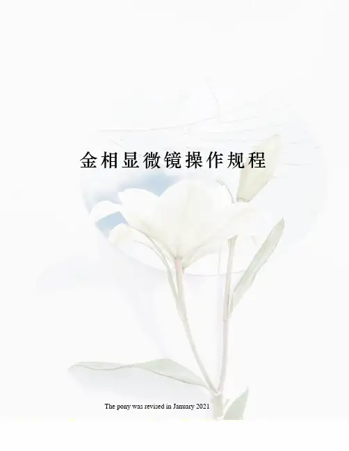 金相显微镜操作规程