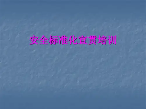 机械行业安全生产标准化宣贯培训教材ppt课件