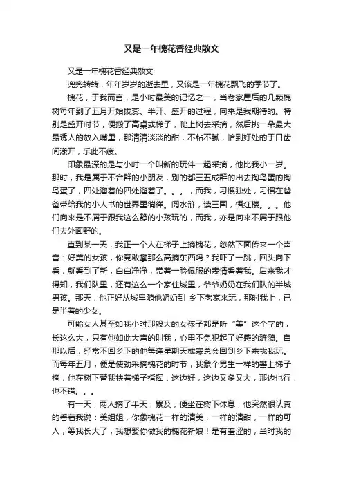又是一年槐花香经典散文