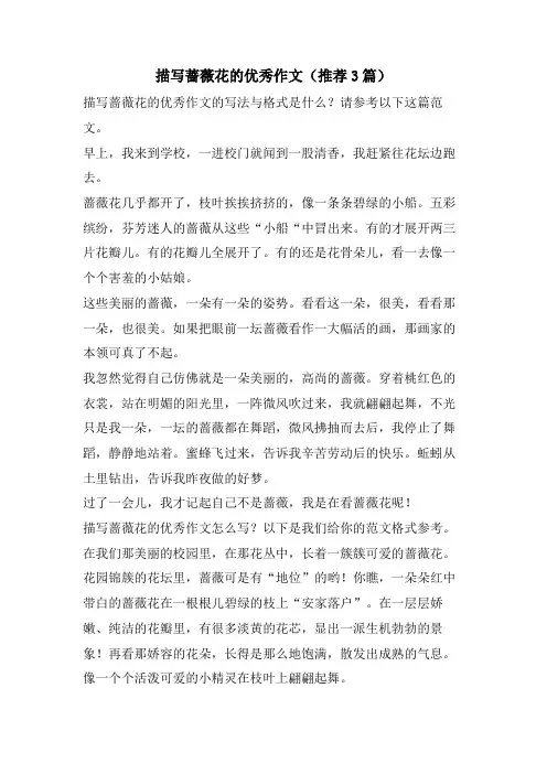 描写蔷薇花的优秀作文(推荐3篇)