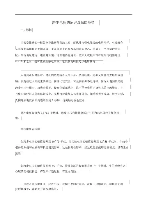 跨步电压的危害及预防措施