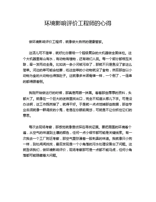 环境影响评价工程师的心得