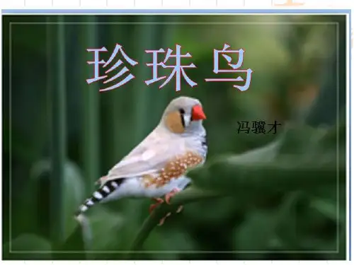 (五上)语文教学课件第4课 珍珠鸟｜部编版 (共19张PPT)