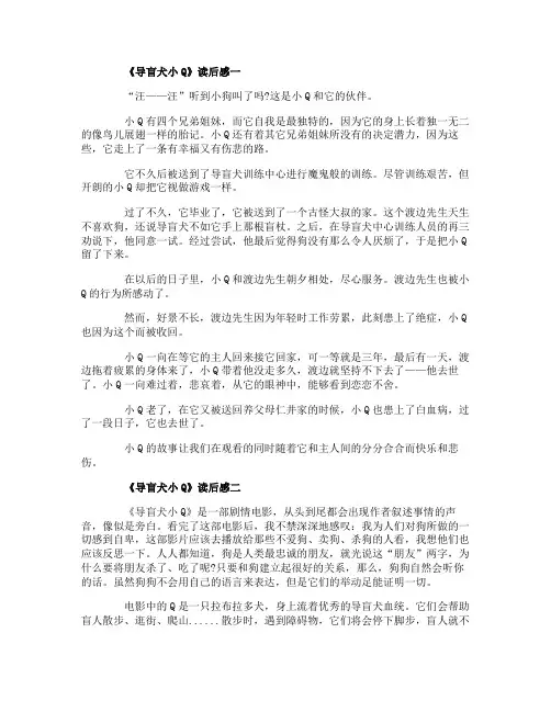 观看《导盲犬小Q》5篇小学生观后感
