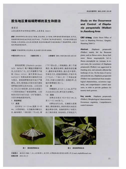 胶东地区黄杨绢野螟的发生和防治