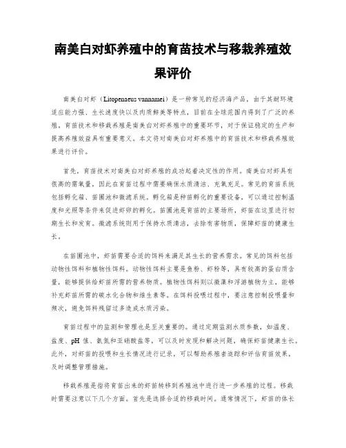 南美白对虾养殖中的育苗技术与移栽养殖效果评价