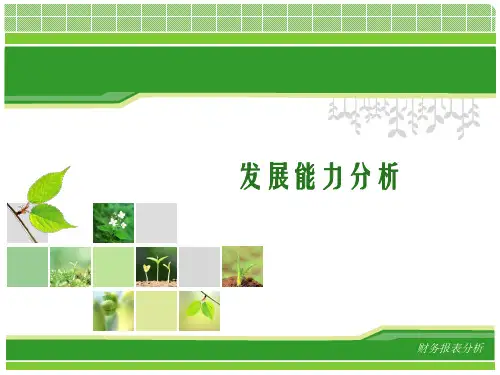 发展能力分析