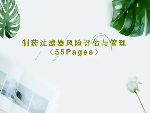 制药过滤器风险评估与管理 (55Pages)57页PPT