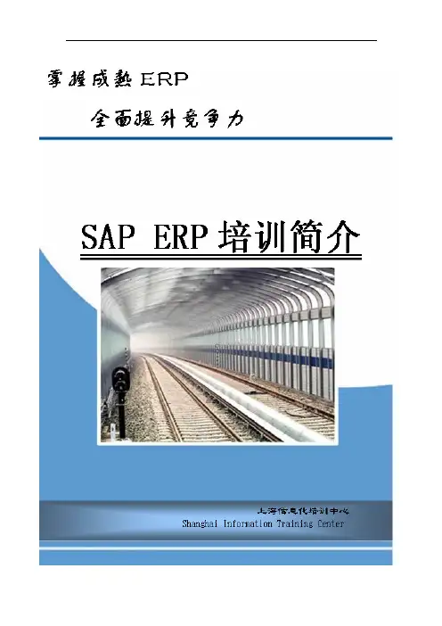 SAP ERP培训介绍