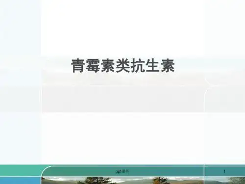青霉素类抗生素   ppt课件