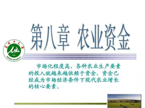 第八章  农业资金