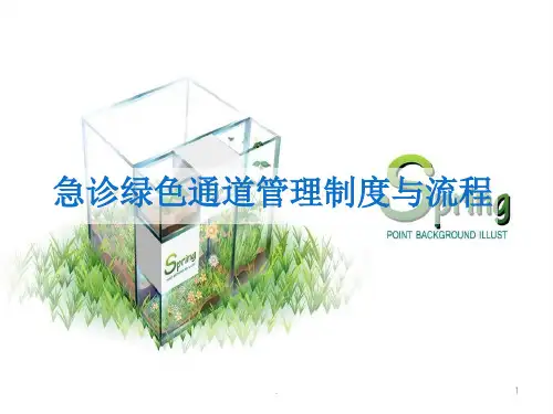 急诊绿色通道管理制度与流程ppt课件