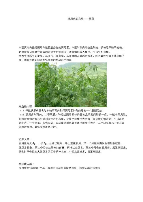 糖尿病的克星----赐茶