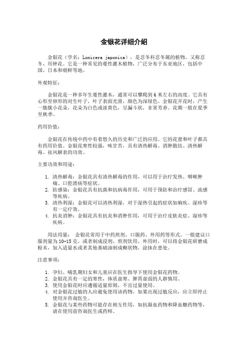 金银花详细介绍