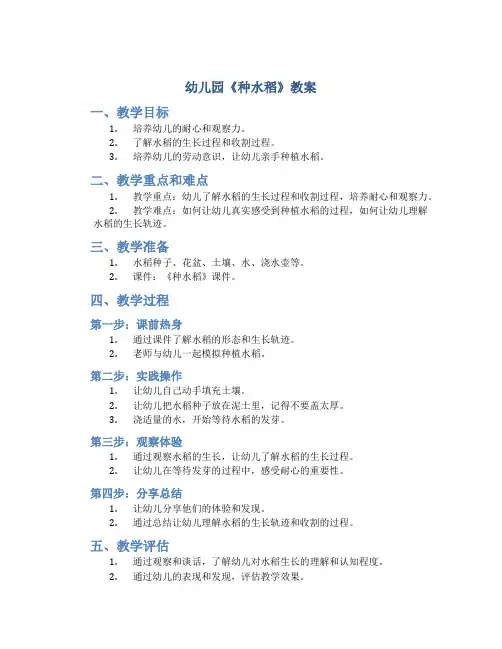 幼儿园《种水稻》教案
