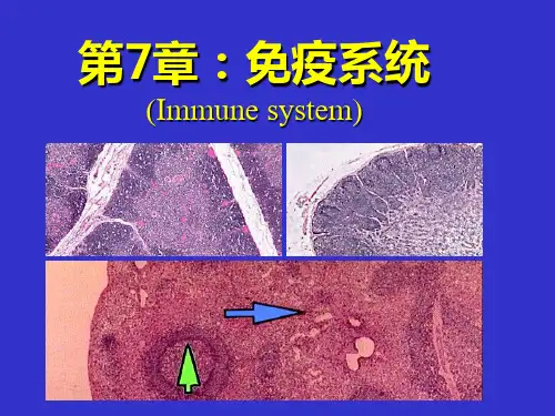 第七章免疫系统new