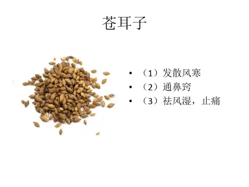 中药饮片总结归纳