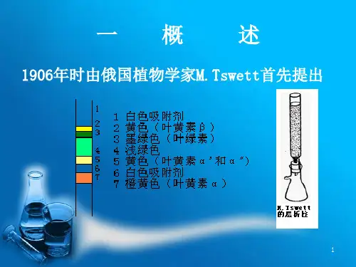 柱色谱PPT课件