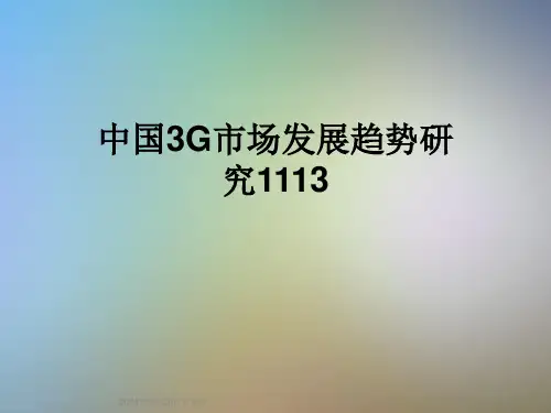 中国3G市场发展趋势研究1113