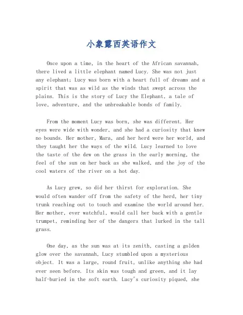 小象露西英语作文