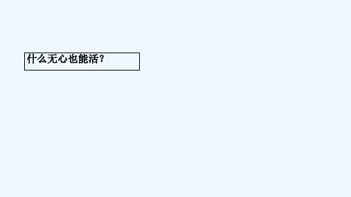 血液循环(心脏生理)