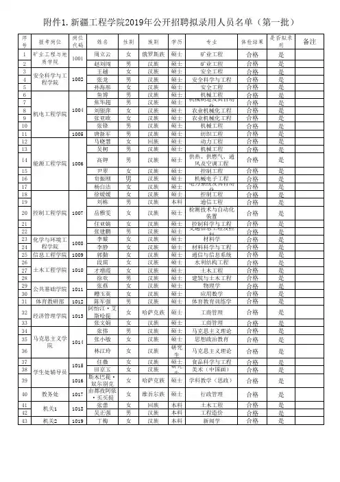 新疆工程学院2019年公开招聘拟录用人员名单