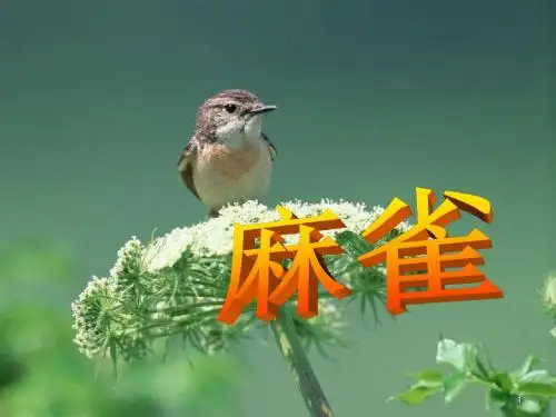 2019秋新部编版四年级语文上册第17课《麻雀》公开课课件(完美).ppt