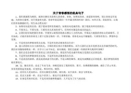 关于青春感悟的经典句子