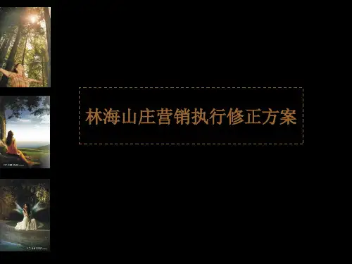 某别墅豪宅项目营销推广策略(ppt 53页)