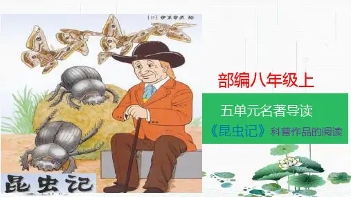 最新人教部编版初中语文八年级上册第五单元：名著导读《昆虫记》科普作品的阅读(共43张PPT)