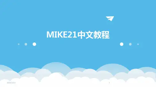 2024年度MIKE21中文教程