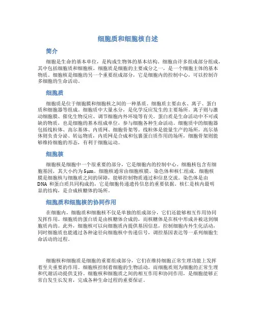 细胞质细胞核自