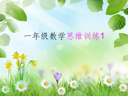 [数学]一年级数学思维训练PPT课件
