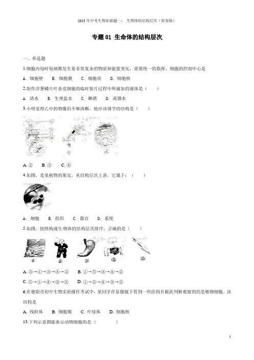 2023年中考生物必刷题一： 生物体的结构层次(原卷版)