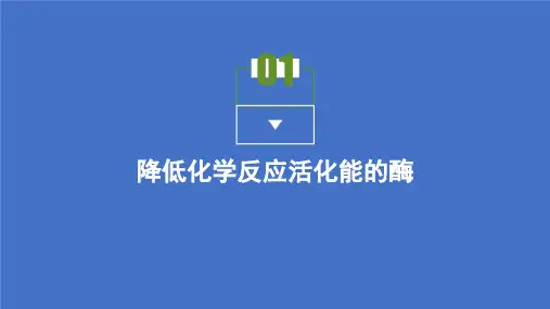 2021高中生物人教版必修第一册课件：第5章第1节 降低化学反应活化能的酶 